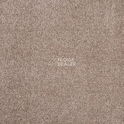 Ковролин AW Invictus Carolus 40 фото 1 | FLOORDEALER